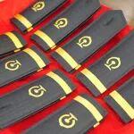 佩戴肩章，成功晉升！