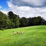 熱點(diǎn)追蹤 | 英美資源與泰克資源合并重塑全球銅業(yè)格局