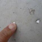 博聞廣議：逐夢之旅，文以載道