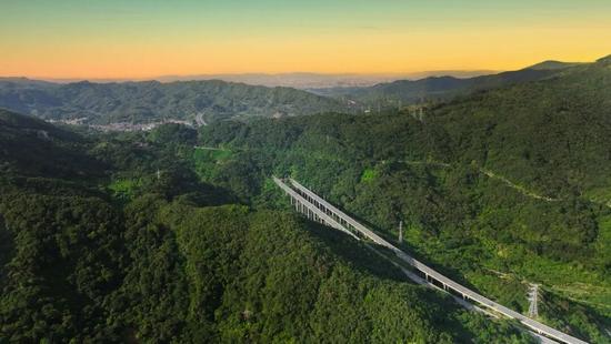 林招林场傍晚-杨仪宝.jpg