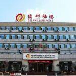 從鋼鐵物流到數(shù)字生態(tài)：德鄰陸港轉(zhuǎn)型實踐入選“全國百篇優(yōu)秀管理案例”