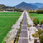 2025年“我家門(mén)口那條路”主題宣傳活動(dòng)啟動(dòng)