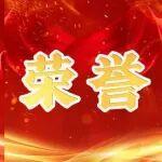 1金2銀1銅2優(yōu)勝！中國(guó)中冶選手在第三屆全國(guó)職業(yè)技能大賽中再創(chuàng)佳績(jī)