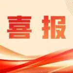 攬獲國際、國家級多個獎項！濰柴樹立質量管理新標桿