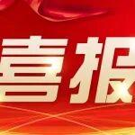 匠心筑梦三十载 创新领航谱新篇——山美集团技术负责人周卫东荣获郑州市政府特殊津贴
