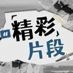 内卷不是躺平，是迁徙