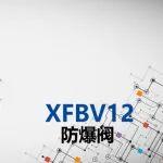 【AMCA明星产品】XFBV12防爆阀——液压系统的“安全保卫者”