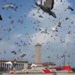 日立挖掘机怎样提升速度跟力量相关精彩文章--和平、发展、进步的中国力量——解读中国全球好感度持续提升 和平、发展、进步的中国力量——解读中国全球好感度持续提升