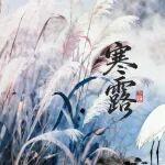 寒露 | 寒露送凉，秋意渐浓