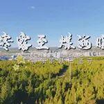 寒露至，煤海暖