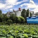 新疆天山水泥三家企業(yè)上榜自治區(qū)綠色工廠名單