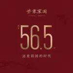 宸园三部曲接连爆卖，中建智地做对了什么？
