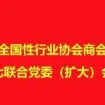 持續(xù)強(qiáng)化黨建引領(lǐng)作用 深入推進(jìn)行業(yè)協(xié)會(huì)規(guī)范辦會(huì)