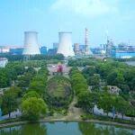 東方風來滿眼春，沈彬談沙鋼50年發(fā)展采訪實錄