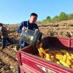 鐵路單位來(lái)了以后，這個(gè)村子有大變化！