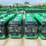 綠動(dòng)為媒，濰柴與坦桑尼亞“雙向奔赴”