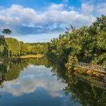 力拓：已于10月開始在西芒杜裝載首批鐵礦石