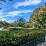 中国五矿集团中标本溪市花红沟铁矿探矿权