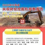 数看世界丨央视财经挖掘机指数：外贸三连涨，港口设备工作量暴增