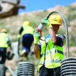 在黃土地上向陽而生