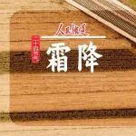 霜降添寒意，鋼軌映堅(jiān)守丨鐵路人，霜降