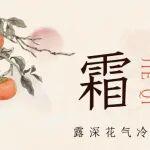 霜降|球意漸無聲 霜降忽而至