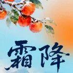 霜降｜雪來松更綠，霜降月彌輝