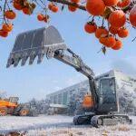 霜降迪万伦：降落的都是美好