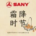 寒霜凝柿，秋韵成诗