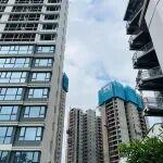 你推工抵房，我送黃金：?？跇潜P打響“搶收戰(zhàn)”