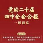 黨的二十屆四中全會(huì)公報(bào)一圖速覽