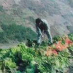 那些年，我在小站工区吃饭……丨火车·悦读