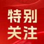 【党的二十届四中全会】权威解读四中全会精神，这场发布会信息量很大！