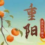 重阳节 | 登高相守，共筑美好未来