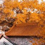 观点共享 | 9月锌市场：国内外锌市场分化加剧