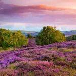 鞏固壯大實(shí)體經(jīng)濟(jì)根基