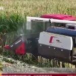 連綿秋雨擋不住豐收路，徐工農(nóng)機(jī)裝備護(hù)航“三秋”生產(chǎn)關(guān)鍵期！