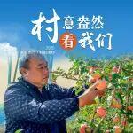 “村”意盎然看我們丨一圖看田埂間村落里的“忙”與“甜”！