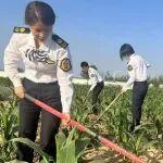 盤活閑置地，員工樂(lè)開顏