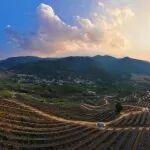 原料用能不納入能源消費(fèi)總量，無(wú)煙煤綠色進(jìn)階之路開(kāi)啟