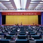 陳得信出席廣西有色金屬關(guān)鍵金屬產(chǎn)業(yè)高質(zhì)量發(fā)展大會暨項目投資洽談會并作主題發(fā)言