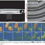 斗山55挖掘机的缺陷相关精彩文章--文章 | 锂电池缺陷检测技术及失效机理分析 文章 | 锂电池缺陷检测技术及失效机理分析