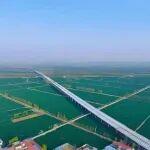 再下一單！公路運(yùn)營(yíng)公司成功中標(biāo)鄒城至濟(jì)寧公路運(yùn)營(yíng)管理服務(wù)項(xiàng)目