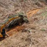 林间“藏龙”，竹海“卧虎”——徐工林业挖机广西侠客行