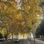 石碌鐵礦3億噸尾礦渣石正在“變廢為寶”