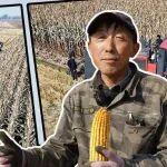 ?？礔4.5可靠出勤，助力東北玉米豐收！