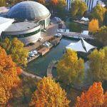 “散養(yǎng)式”體育活動(dòng)