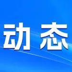 甘肅省三級聯(lián)動探獲7億噸冶鎂白云巖礦