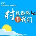 沙地里的“胖薯仔”，好甜吶！