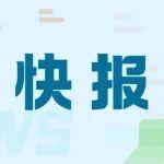 10月我国出口钢材978万吨，环比下降6.5%